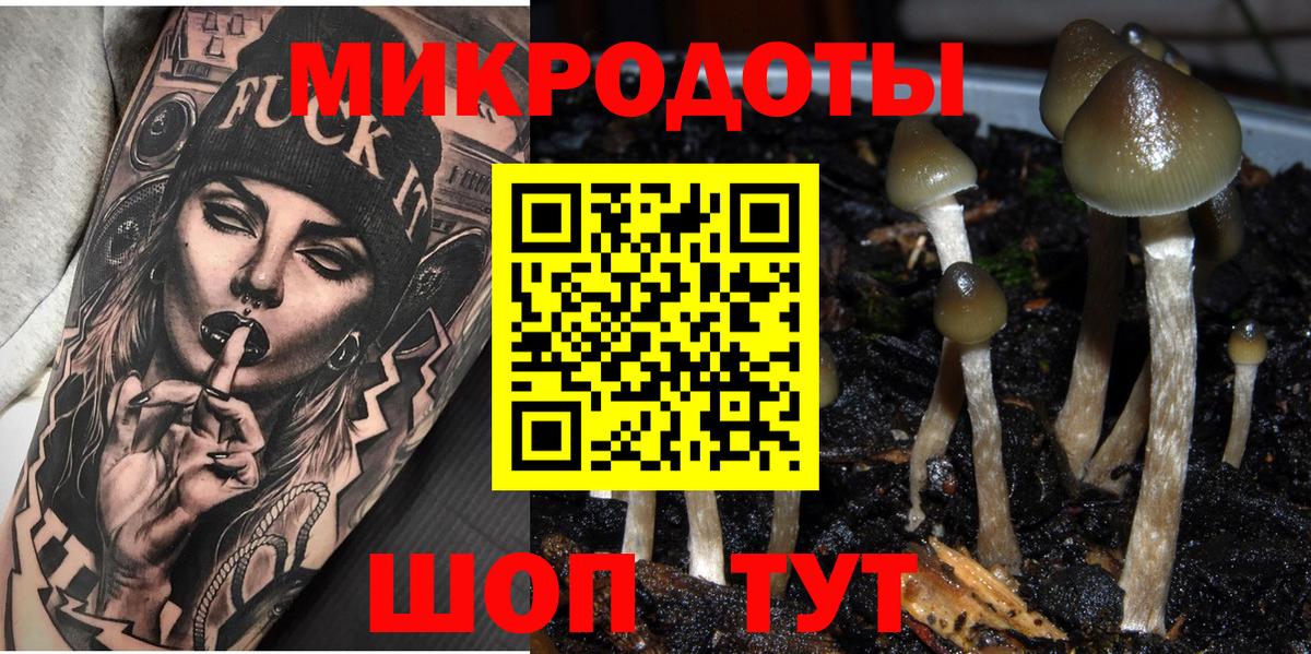Галлюциногенные грибы GOLDEN TEACHER  Вход с VPN  Черногорск  Псилоцибиновые грибы Psilocybine cubensis 